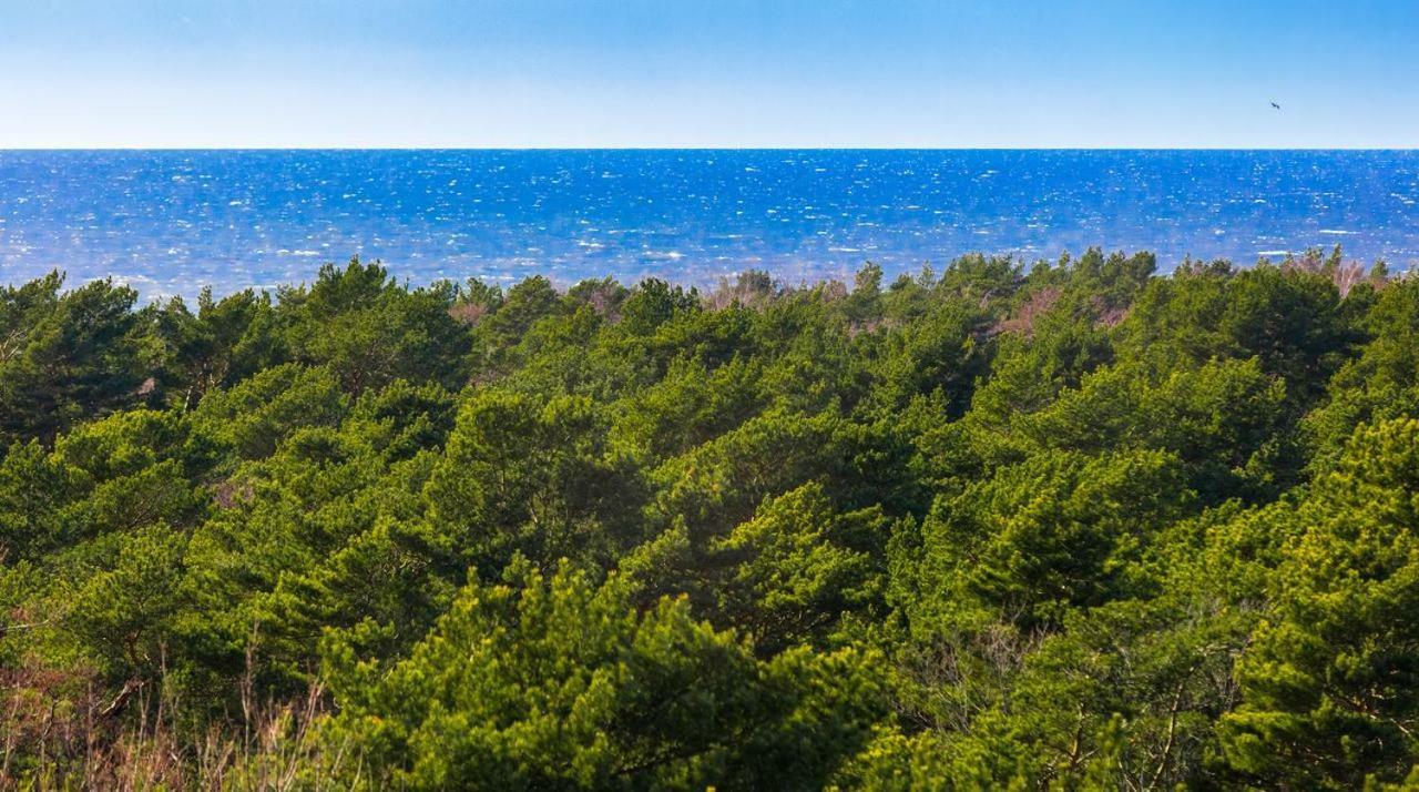 Palanga Sea View Apartment Luaran gambar